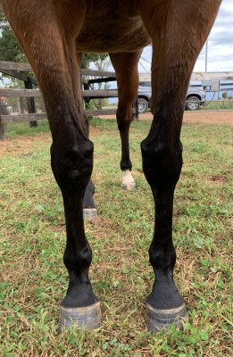 Lot 295: Charge Forward / Walkway