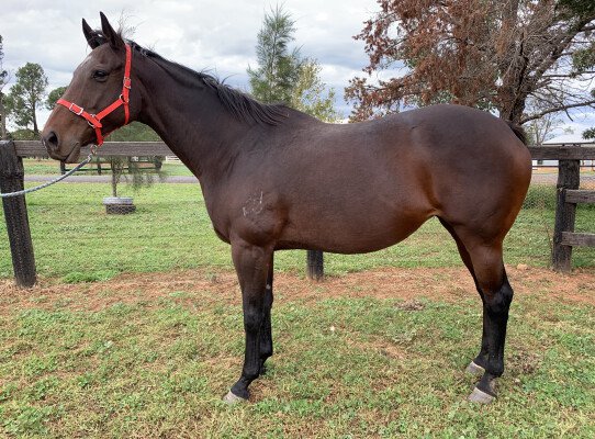 Lot 139: Fastnet Rock / Isurava