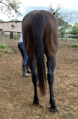 Lot 289: Snippetson / L'Aria