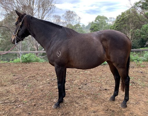 Lot 289: Snippetson / L'Aria