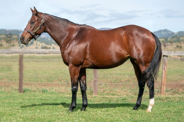 Lot 32: Tickets / Queen Esprit