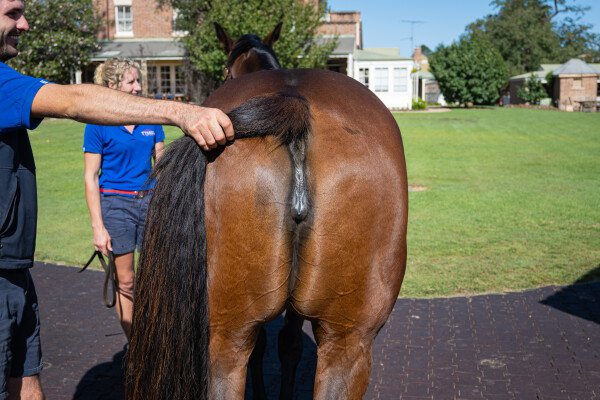 Lot 268: Manhattan Rain / Whisper Bay