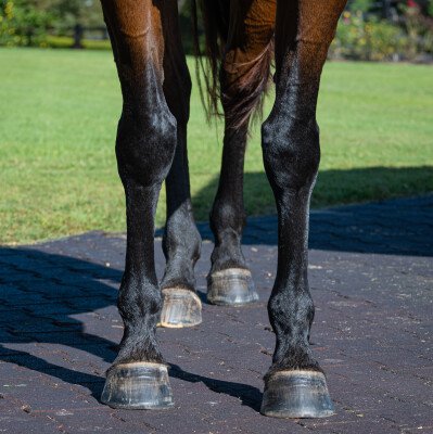 Lot 268: Manhattan Rain / Whisper Bay