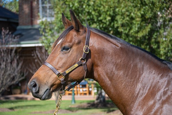 Lot 268: Manhattan Rain / Whisper Bay