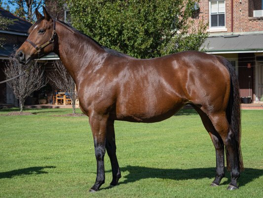 Lot 268: Manhattan Rain / Whisper Bay