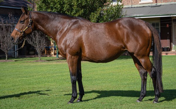 Lot 198: Fastnet Rock / First Land (NZ)