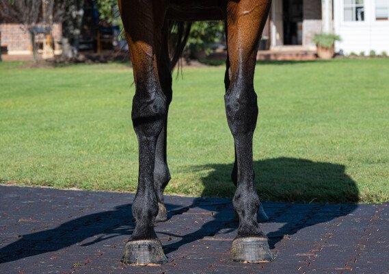 Lot 155: Encosta de Lago / Vouvray (NZ)