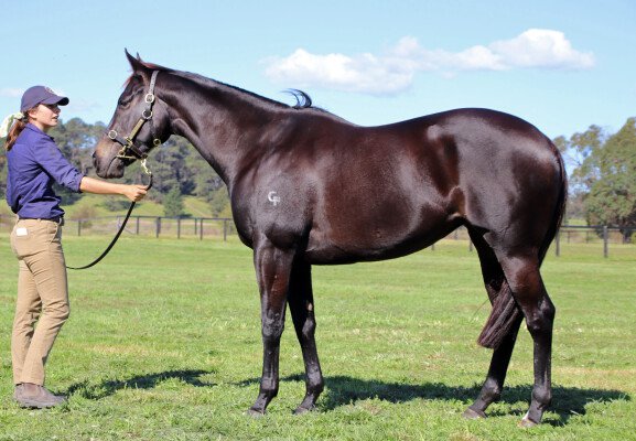 Lot 263: I Am Invincible / Sancelia