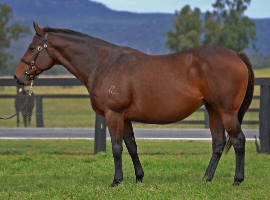 Lot 151: Fastnet Rock / Little Surfer Girl