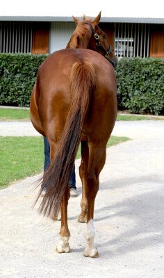 Lot 71: Show a Heart / Repercussions