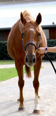 Lot 71: Show a Heart / Repercussions