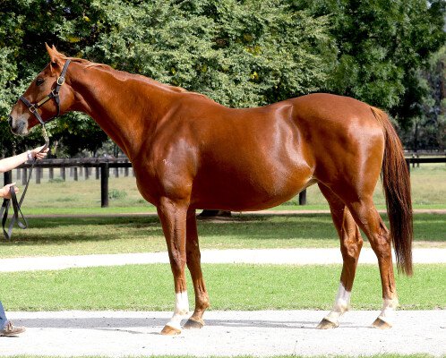 Lot 71: Show a Heart / Repercussions