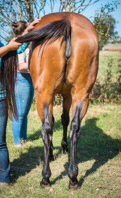 Lot 396: I Am Invincible / Crimson Lane