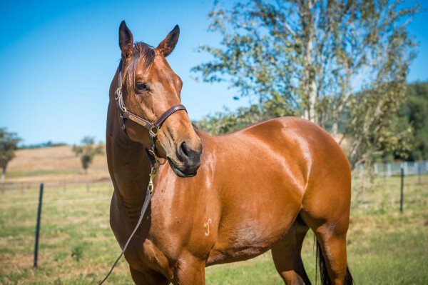 Lot 396: I Am Invincible / Crimson Lane