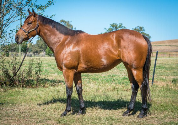 Lot 396: I Am Invincible / Crimson Lane