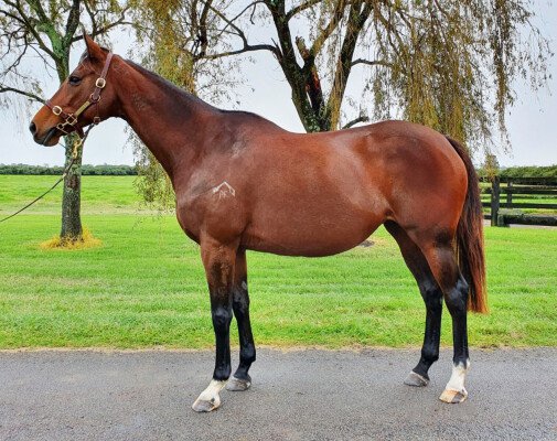 Lot 62: Casino Prince / Endless (GB)