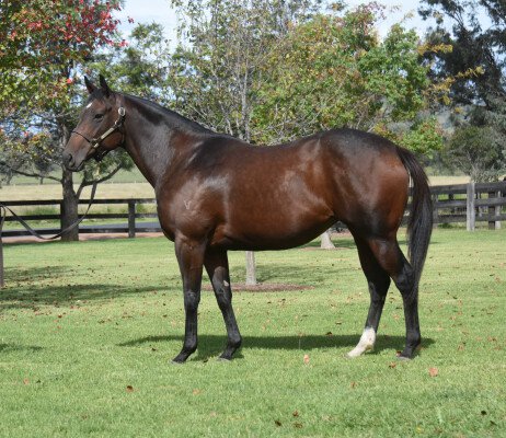 Lot 356: All Too Hard / Element of Danger