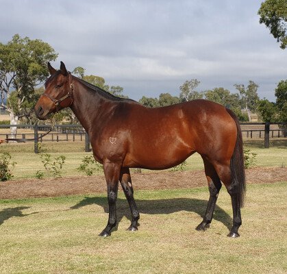 Lot 352: Wanted / Zamask