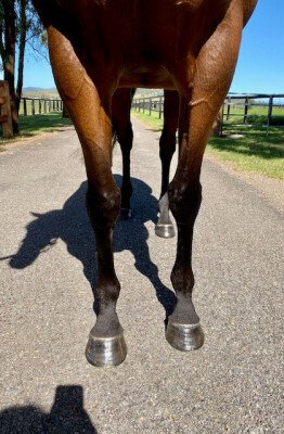 Lot 105: All Too Hard / Waveline (USA)