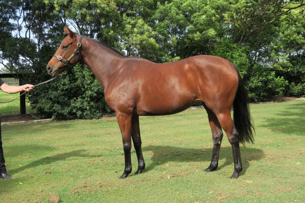 Lot 215: Stratum / Solanas (NZ)