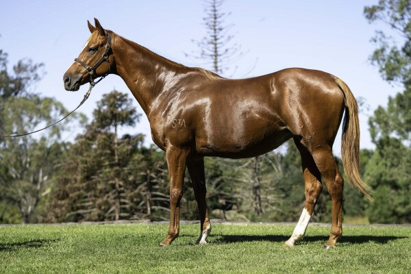 Lot 212: Show a Heart / Monaliesha