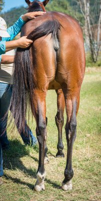 Lot 10: Declaration of War (USA) / First Look
