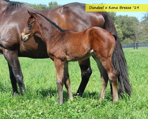 Lot 339: Sebring / Whiffle (USA)