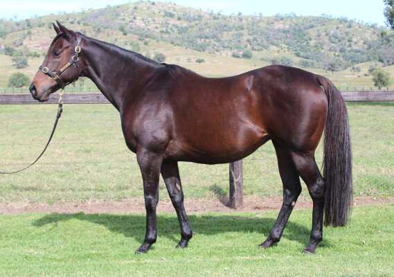 Lot 339: Sebring / Whiffle (USA)