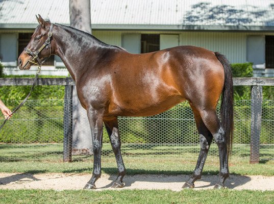 Lot 281: Declaration of War (USA) / Royal Dance