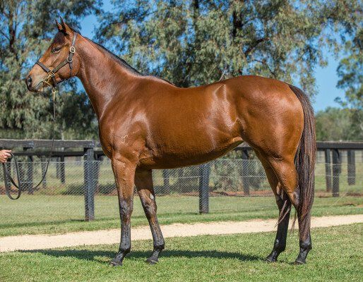 Lot 84: I Am Invincible / Al's Magic Miss