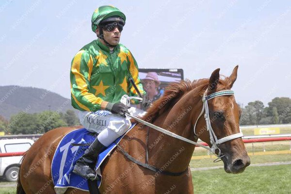 Lot 197: Toorak Toff / Hampton Rover (USA)