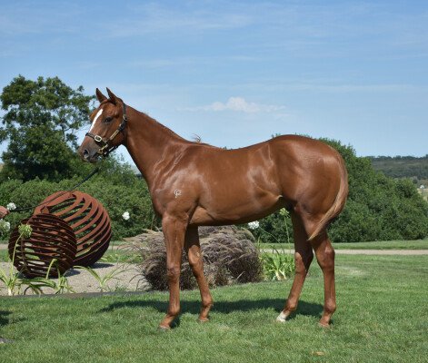 Lot 269: Deep Field / Little Favours