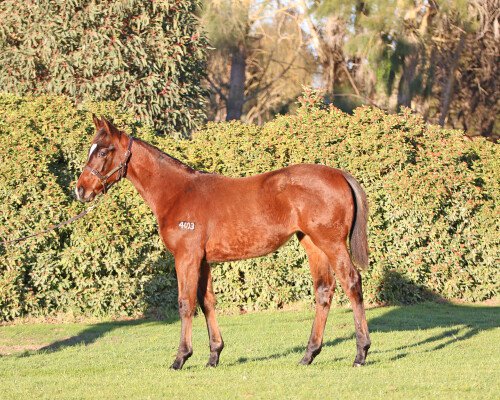 Lot 79: Vancouver / Clover Lane (NZ)