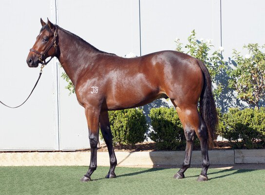 Lot 182: Bullet Train (GB) / Aradina