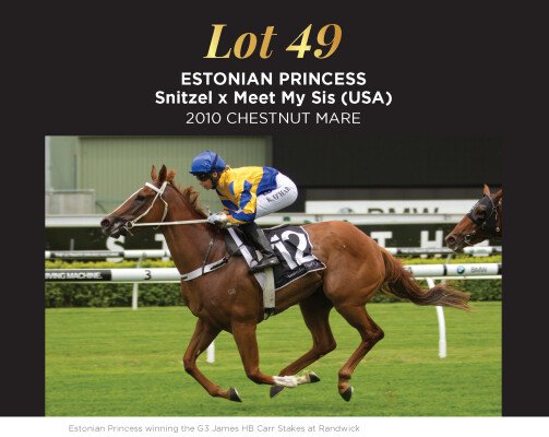 Lot 49: Snitzel / Meet My Sis (USA)