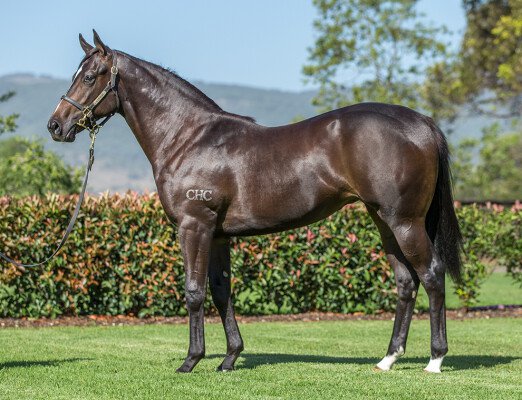 Lot 189: Vancouver / Precious Gem