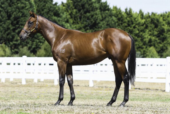 Lot 210: Kermadec (NZ) / Hangin' Tough